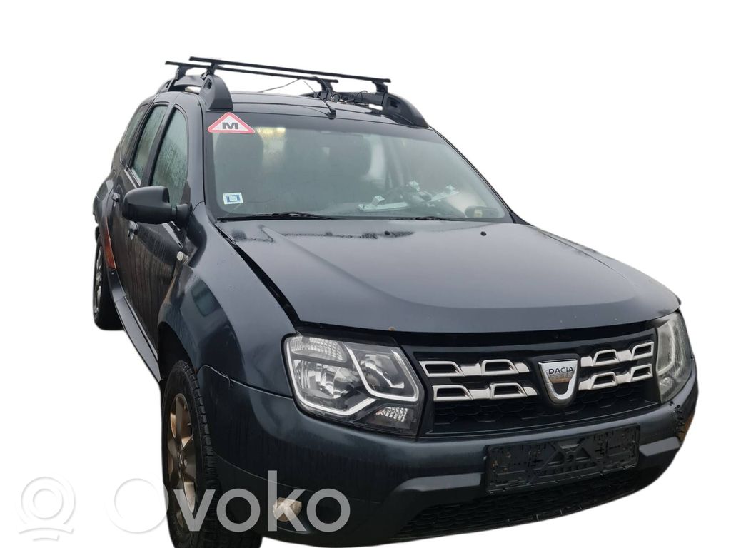 Duster Duster  S180095134A