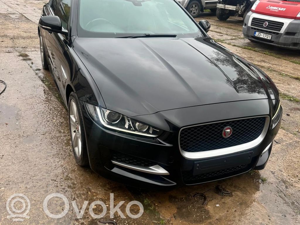 XE XE  18D693BA