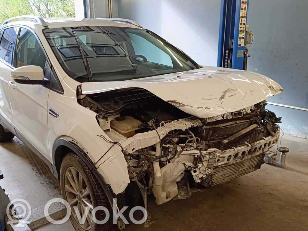 Kuga II Kuga  FV419T540BB