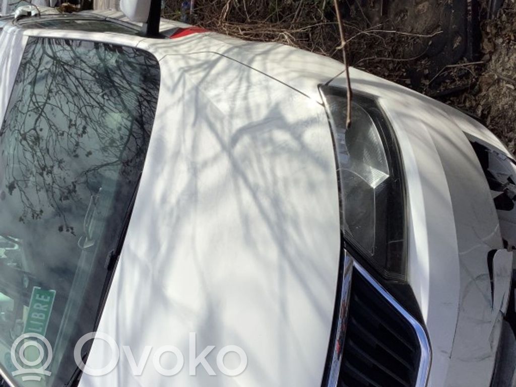 Rapid (NH) Rapid  10207305