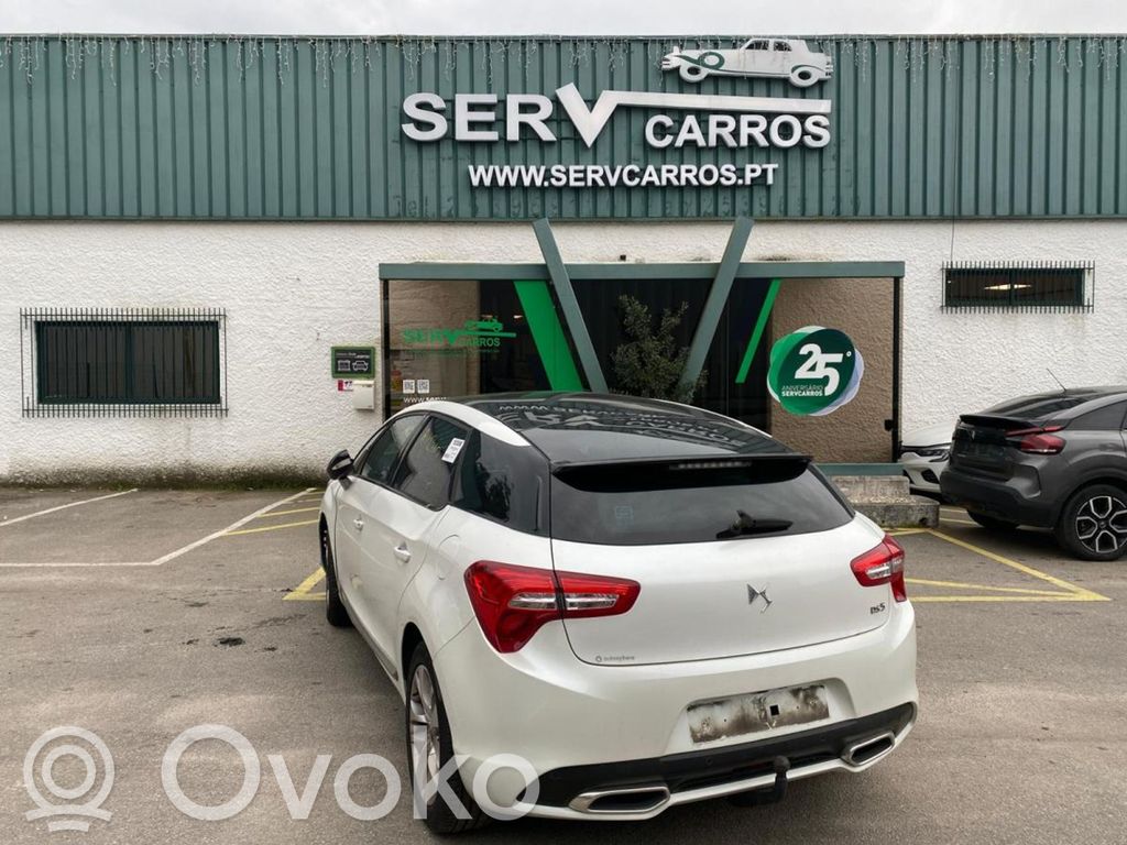 DS5 DS5