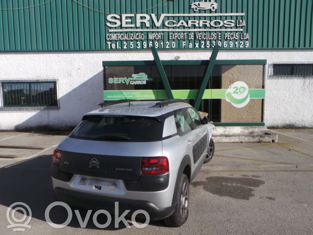 C4 Cactus C4 Picasso, Grand Picasso, Aircross, Cactus