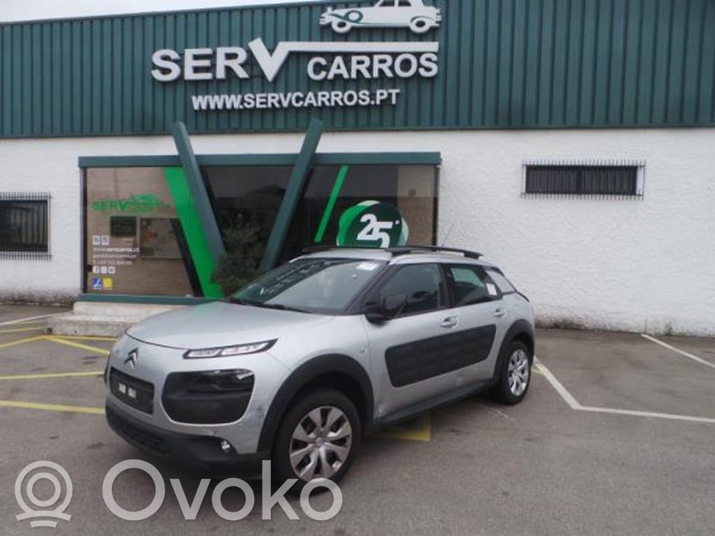 C4 Cactus C4 Picasso, Grand Picasso, Aircross, Cactus