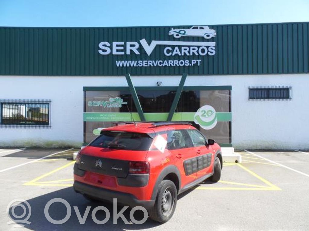 C4 Cactus C4 Picasso, Grand Picasso, Aircross, Cactus