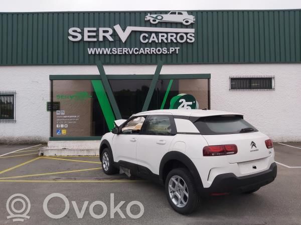 C4 Cactus C4 Picasso, Grand Picasso, Aircross, Cactus
