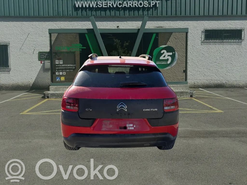 C4 Cactus C4 Picasso, Grand Picasso, Aircross, Cactus