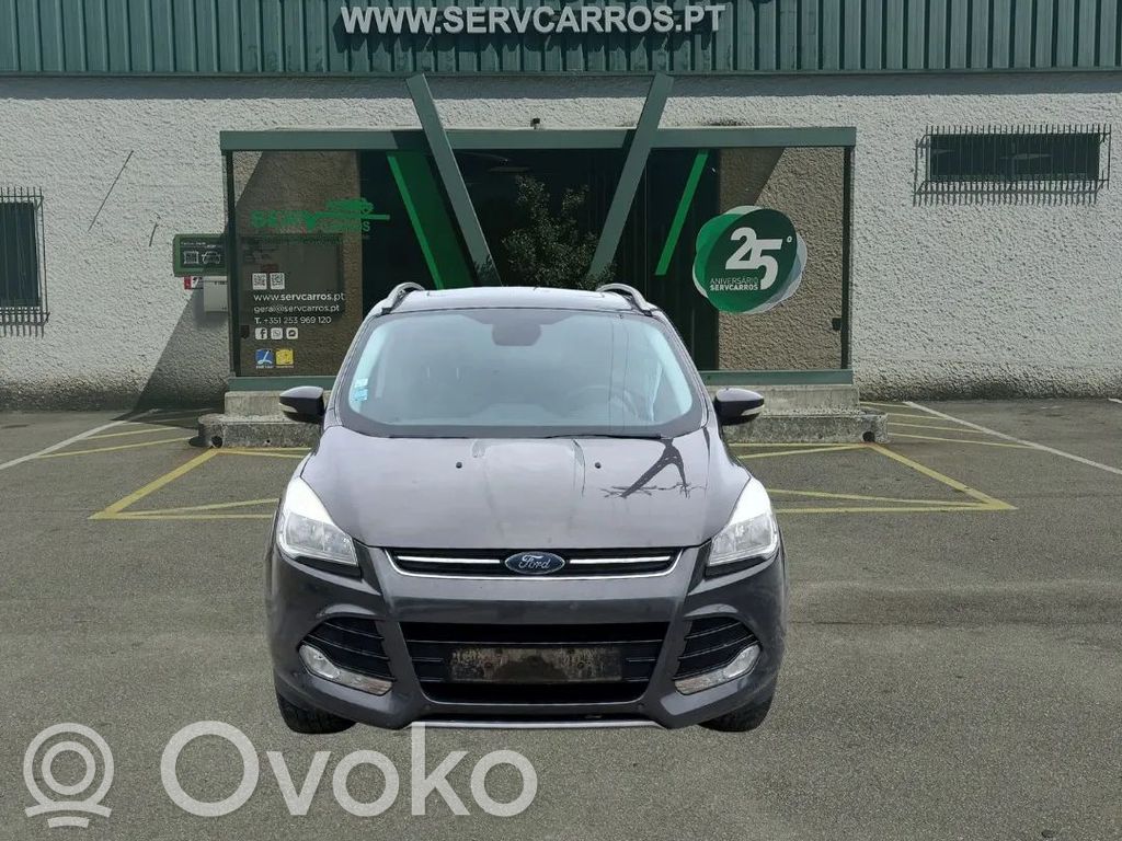 Kuga II Kuga