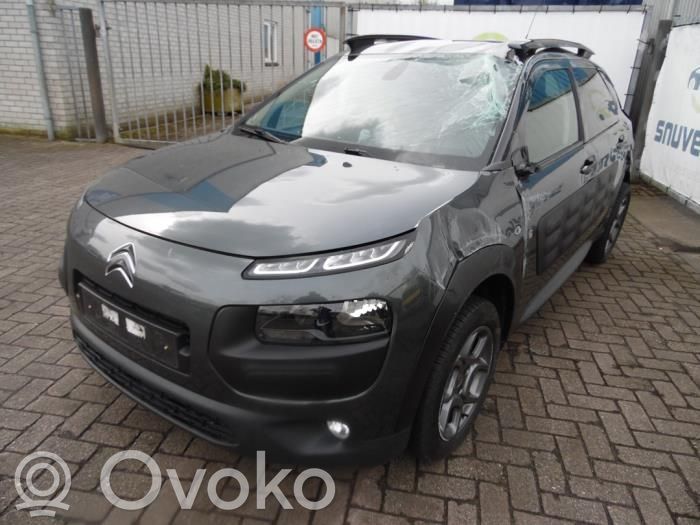 C4 Cactus C4 Picasso, Grand Picasso, Aircross, Cactus  9809783980