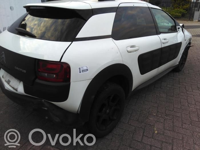 C4 Cactus C4 Picasso, Grand Picasso, Aircross, Cactus  1628950280