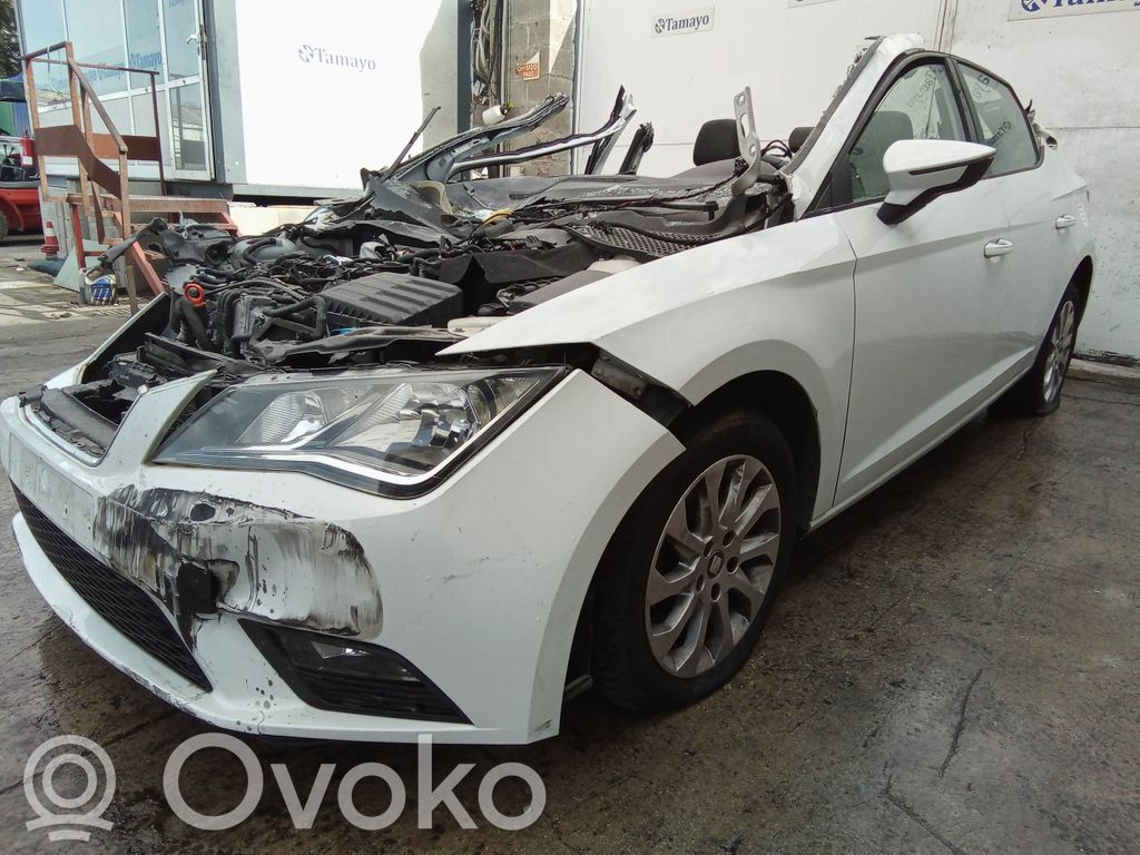 Leon (5F) Leon  5F0864207A