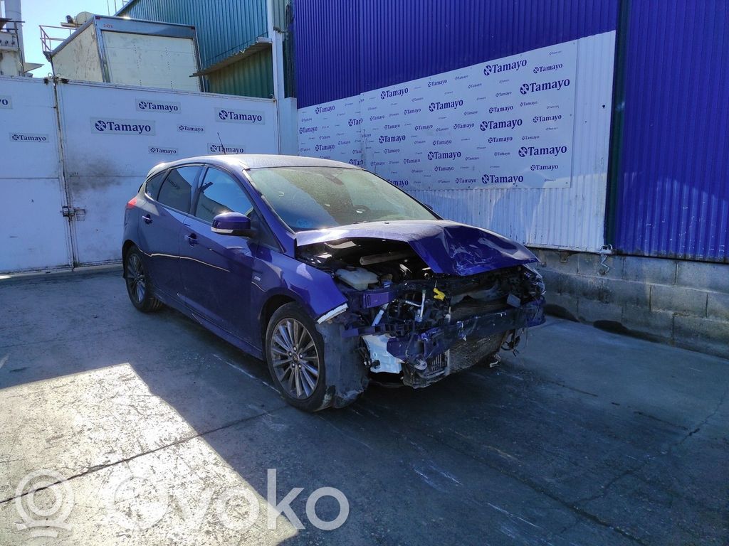 Focus Focus  F1F112B591CB