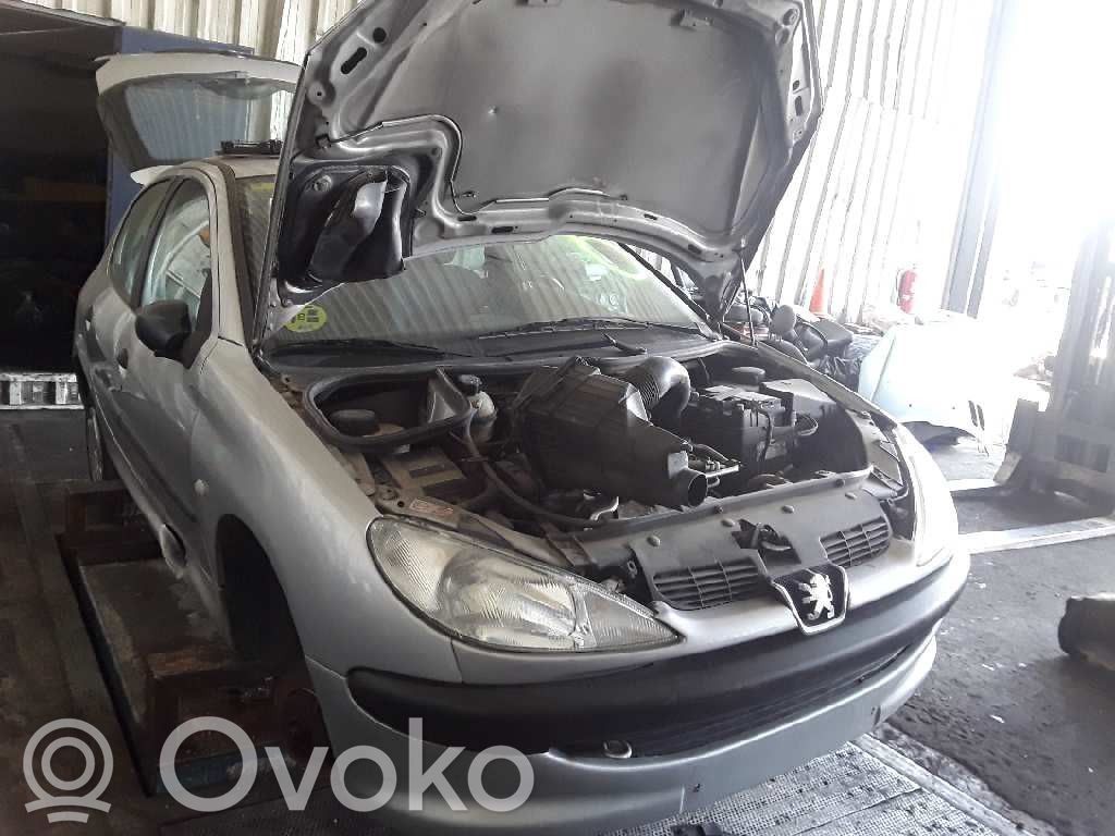 206 206, 206+  963770618004