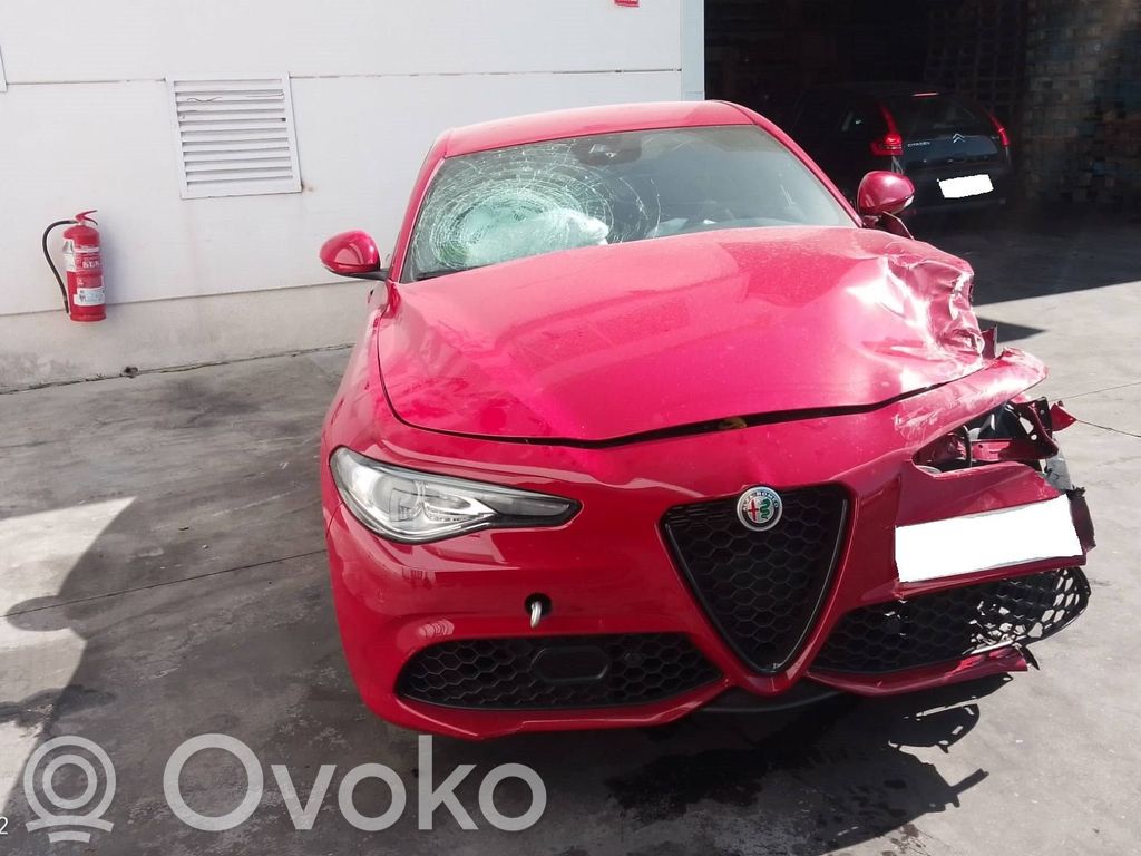 Giulia Giulia  50549838