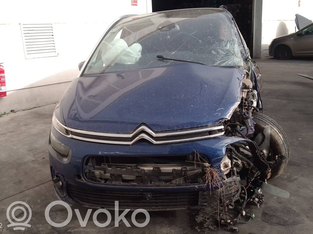 C4 Cactus C4 Picasso, Grand Picasso, Aircross, Cactus  9810310380