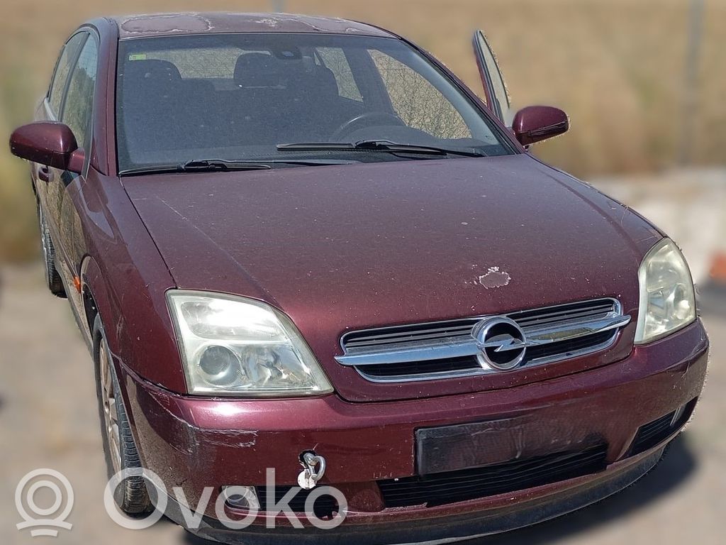 Vectra B Vectra  24445062