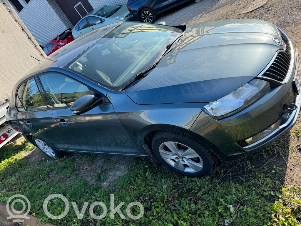 Rapid (NH) Rapid  WHT003863C