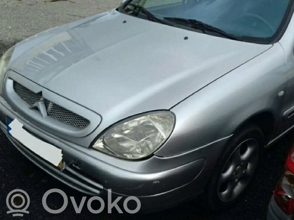 Xsara Xsara, Xsara Picasso