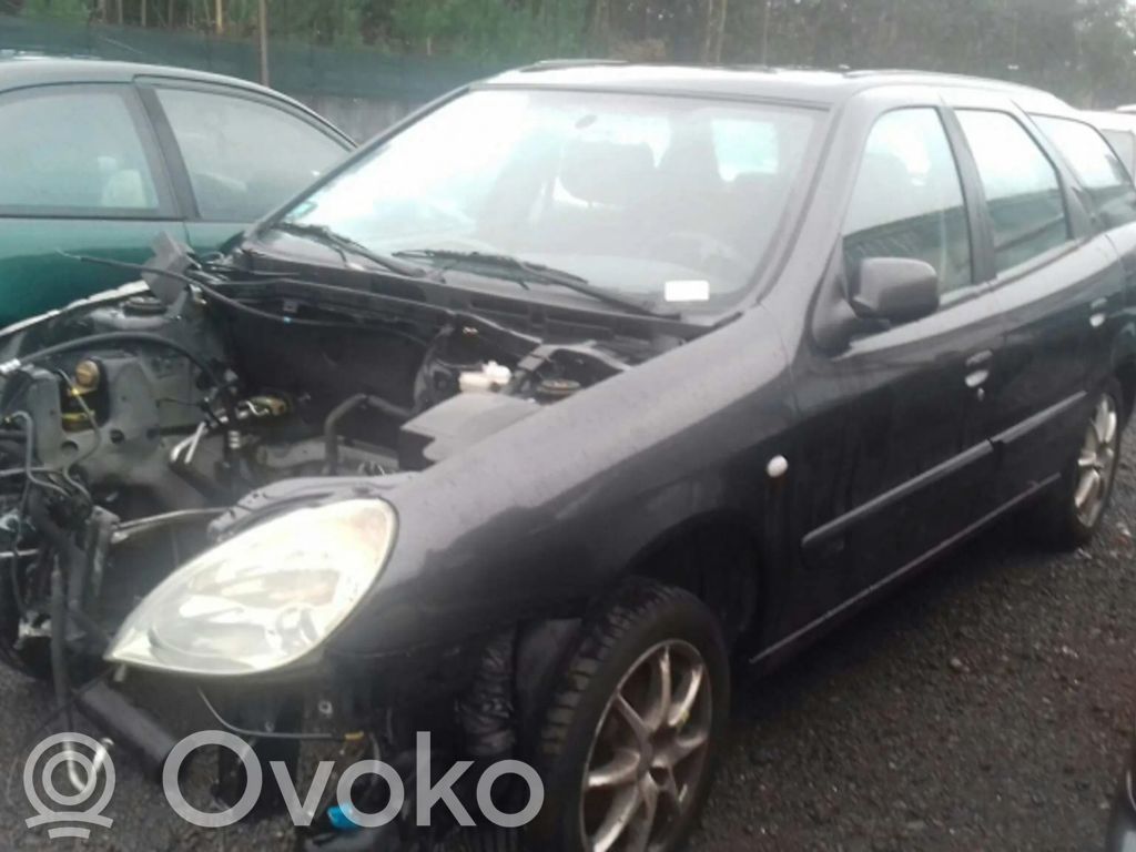 Xsara Xsara, Xsara Picasso