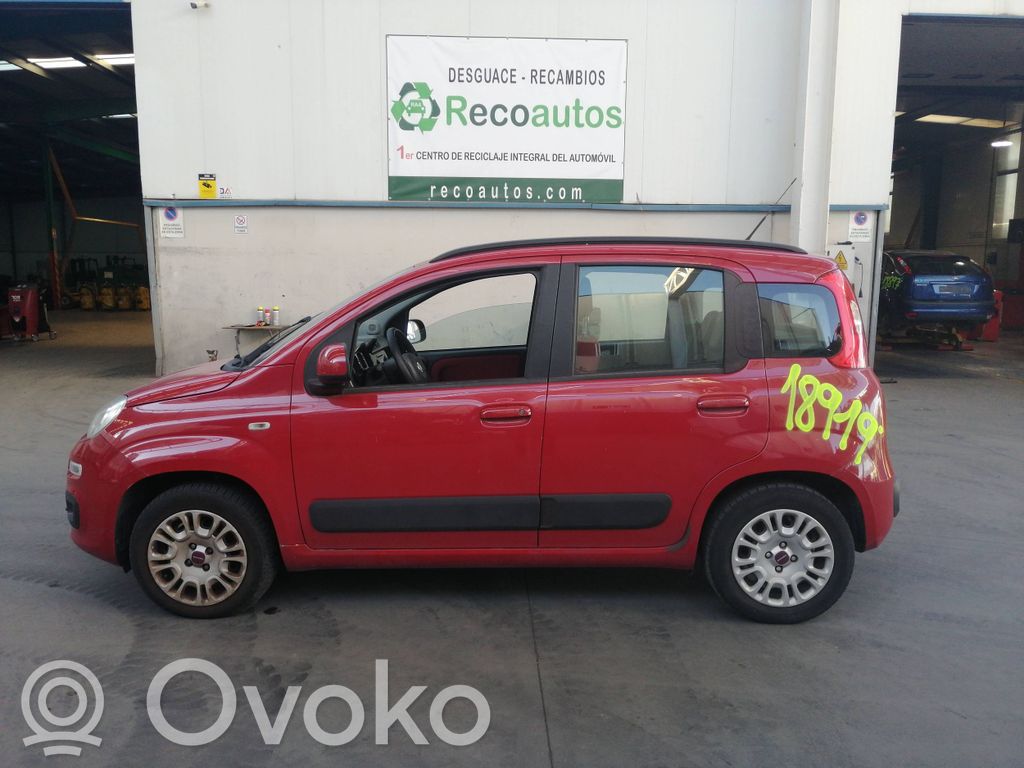 Panda III Panda  55202416