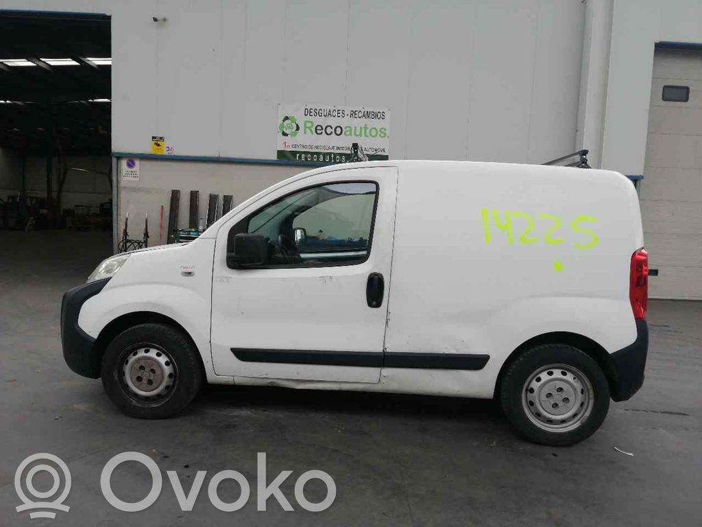 Nemo Nemo  55213019
