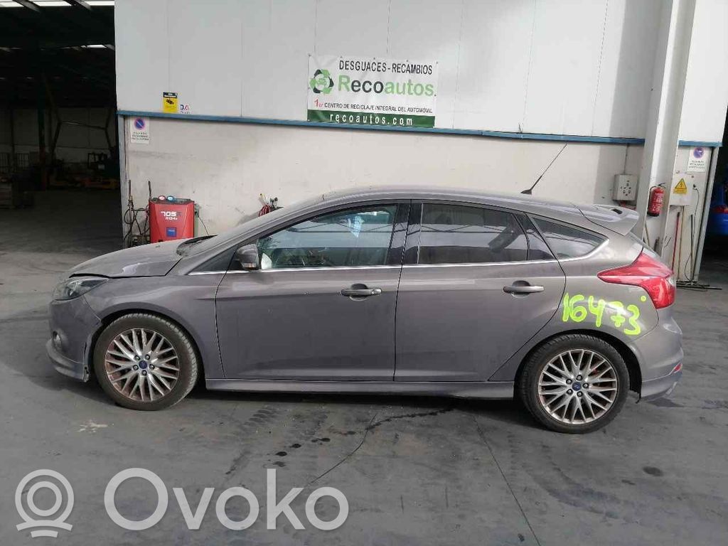 Focus Focus  1755031