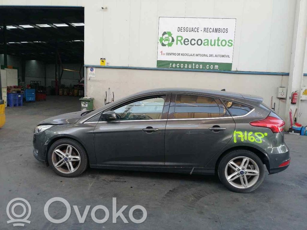 Focus Focus  1704765