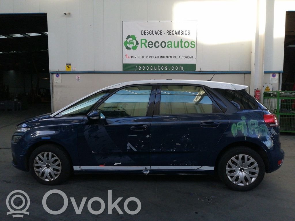 C4 Cactus C4 Picasso, Grand Picasso, Aircross, Cactus  9810310280