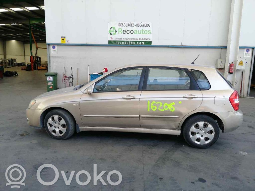 Cerato Cerato  3910327061