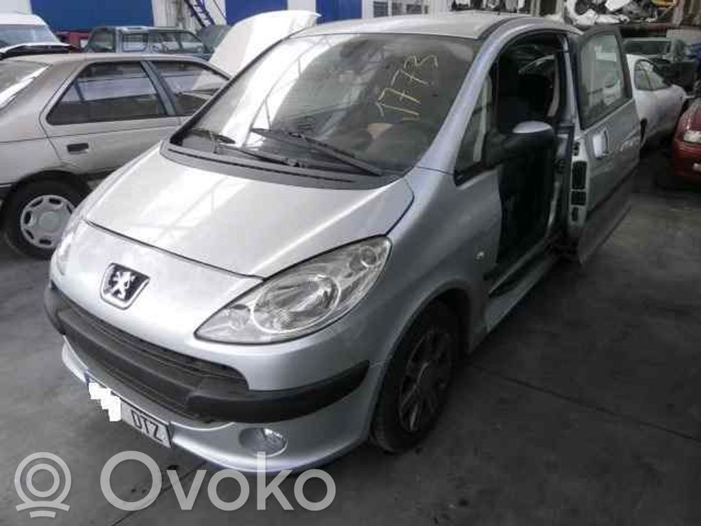 1007 1007  96573404XT