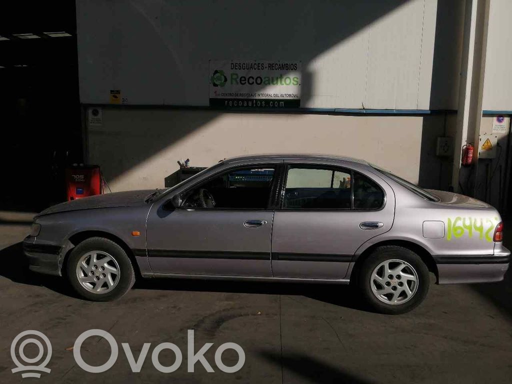 Maxima Maxima  2330031U00