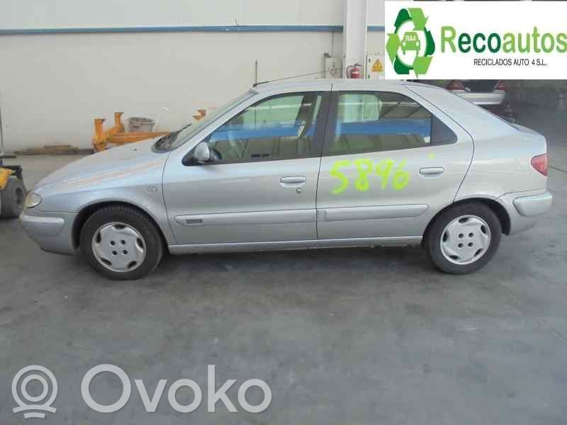 Xsara Xsara, Xsara Picasso