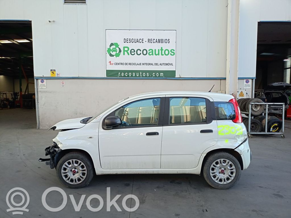 Panda III Panda  52083839