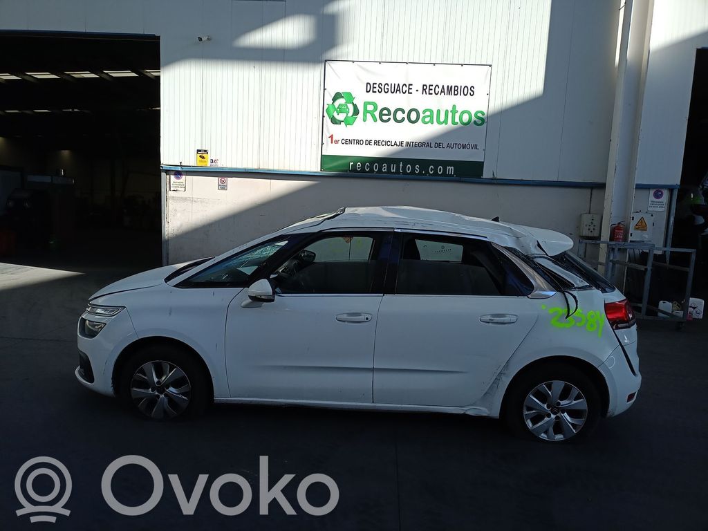 C4 Cactus C4 Picasso, Grand Picasso, Aircross, Cactus  9820156680