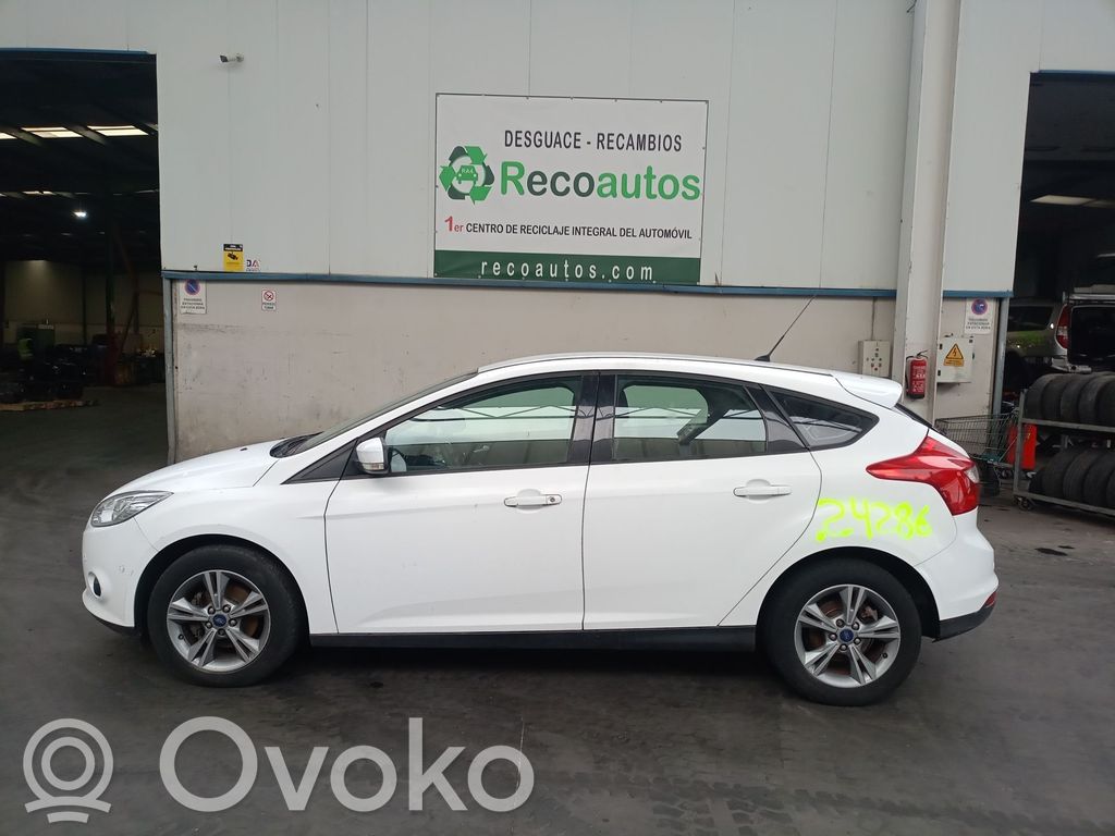 Focus Focus  CV619G444CB