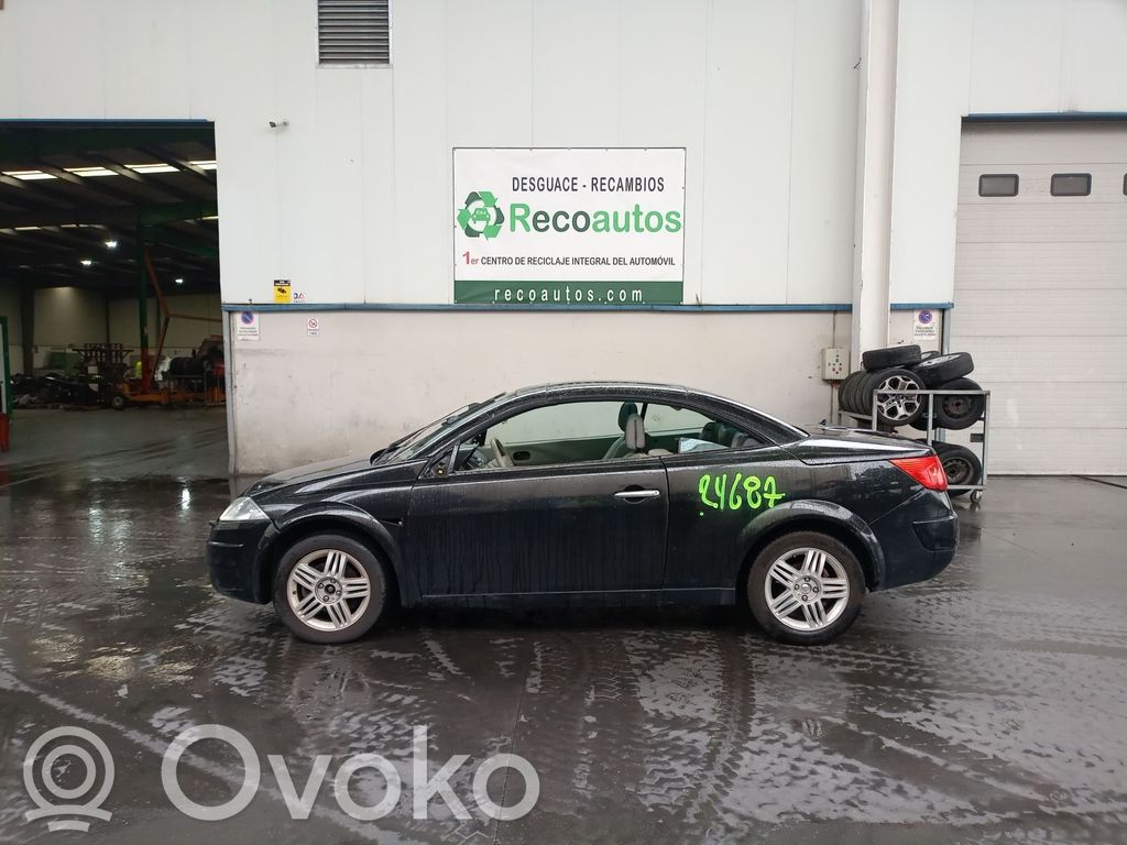 Megane II Megane  8200273005