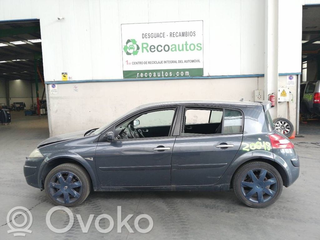Megane II Megane  8200685699