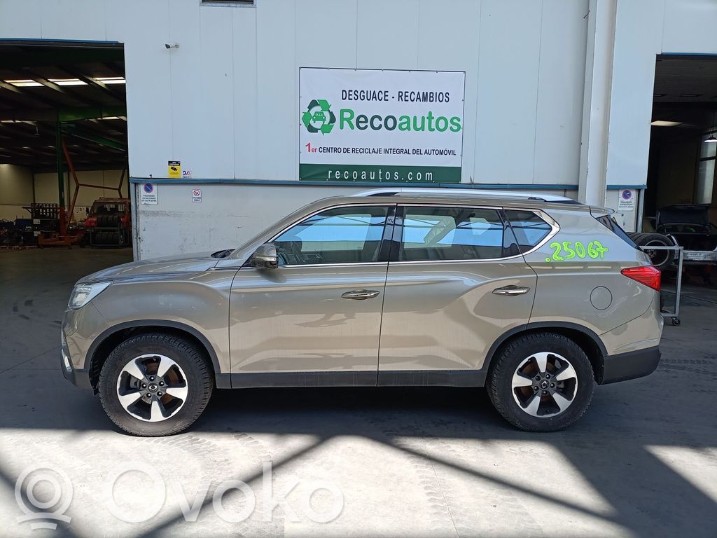 Rexton Rexton  7953036000