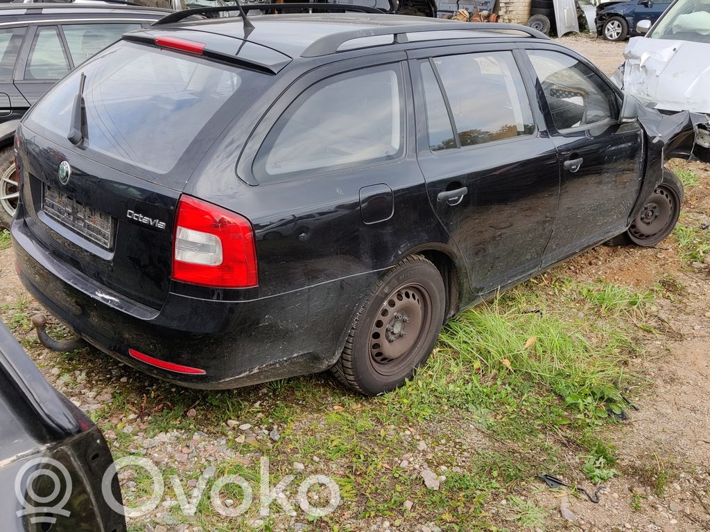 Octavia Mk2 (1Z) Octavia  32322661