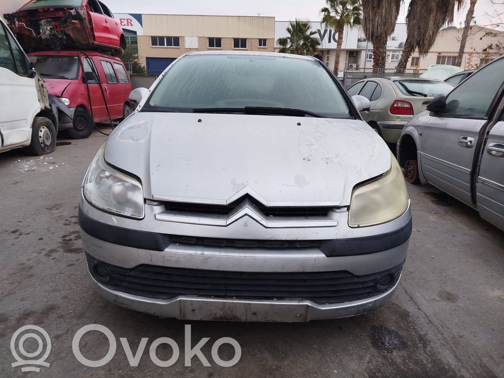 C4 I C4 Picasso, Grand Picasso, Aircross, Cactus  113254
