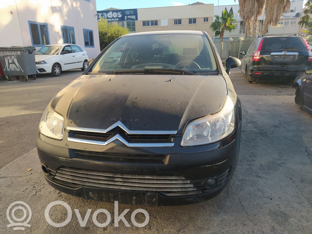 C4 I C4 Picasso, Grand Picasso, Aircross, Cactus  0265800395