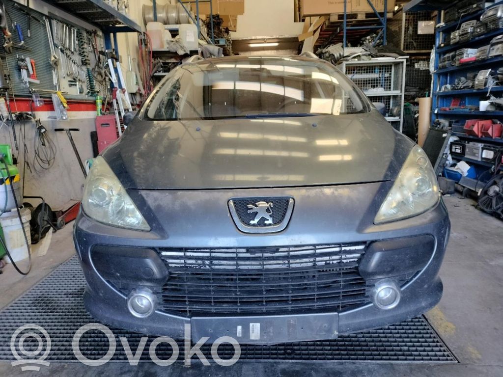 307 307  S122288001D