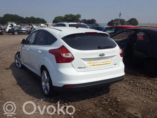 Focus Focus  AM5T14D212EB