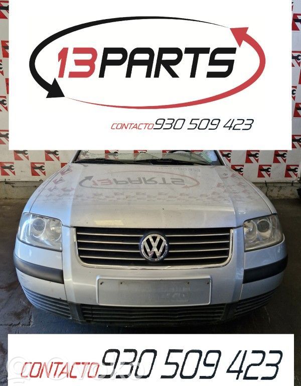 PASSAT B5.5 Passat