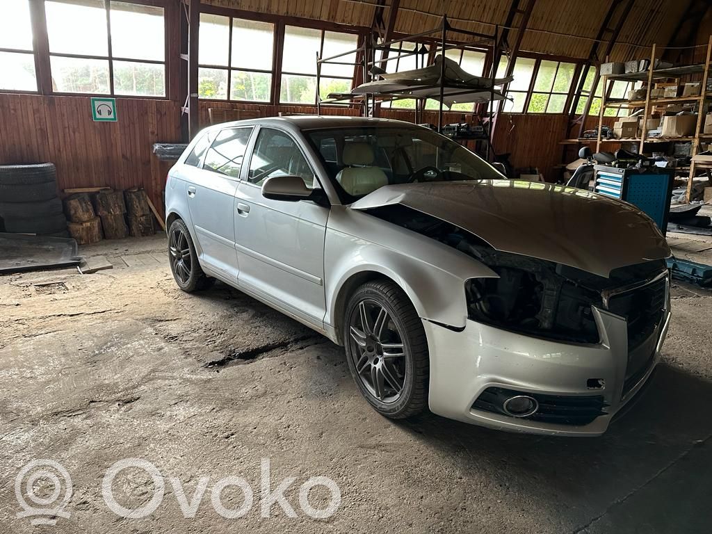 A3 S3 A3 Sportback 8P A3, S3  06J127509E