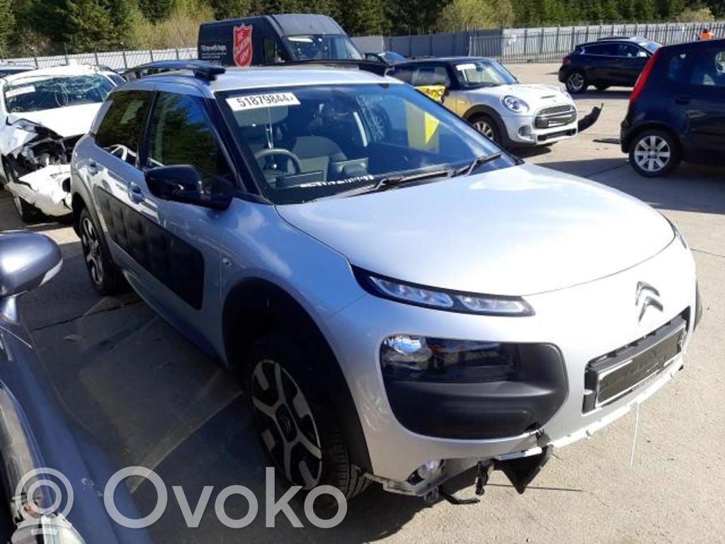 C4 Cactus C4 Picasso, Grand Picasso, Aircross, Cactus