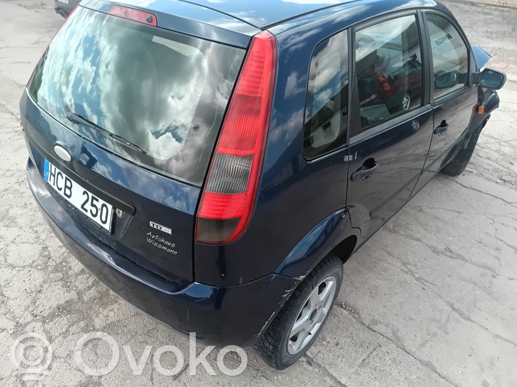 Fiesta Fiesta  488031