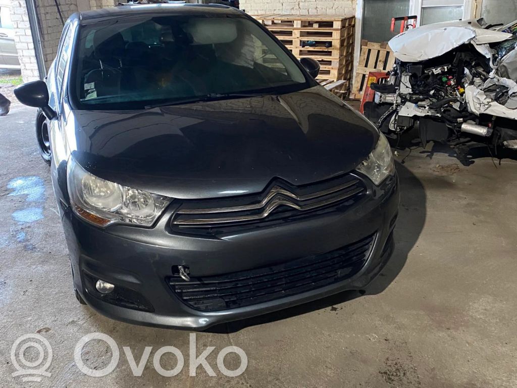 C4 II C4 Picasso, Grand Picasso, Aircross, Cactus  96717155ZD