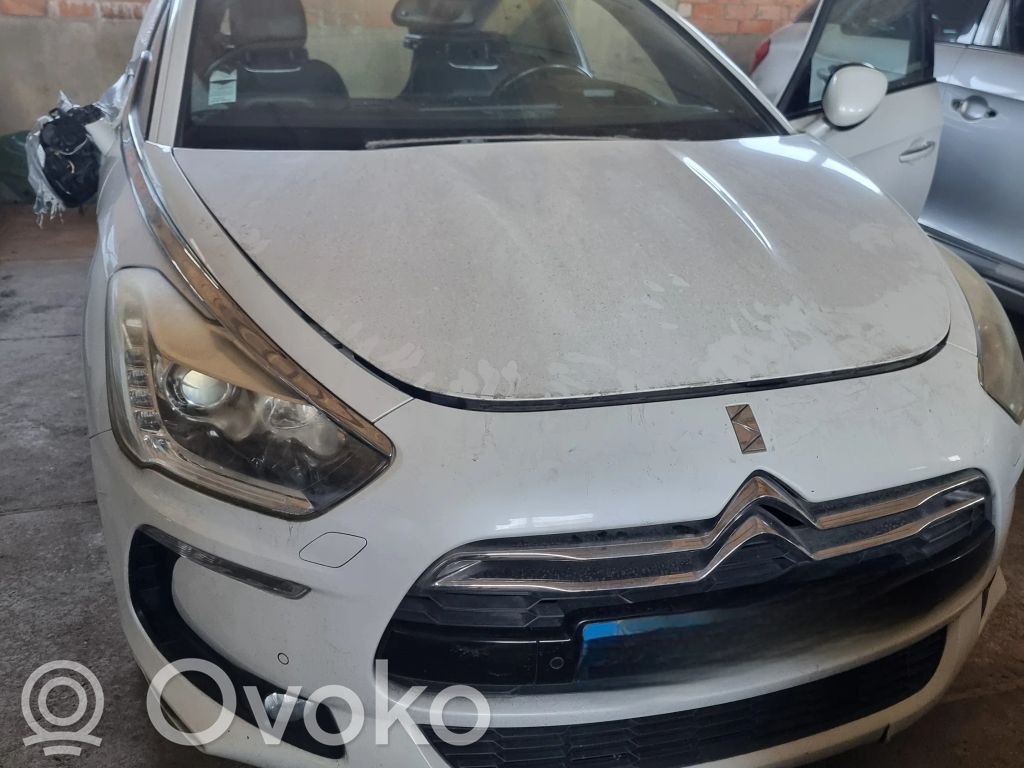 DS5 DS5