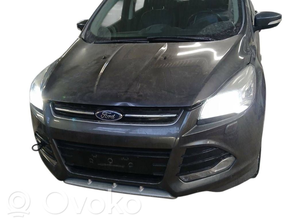 Kuga II Kuga  624690300A