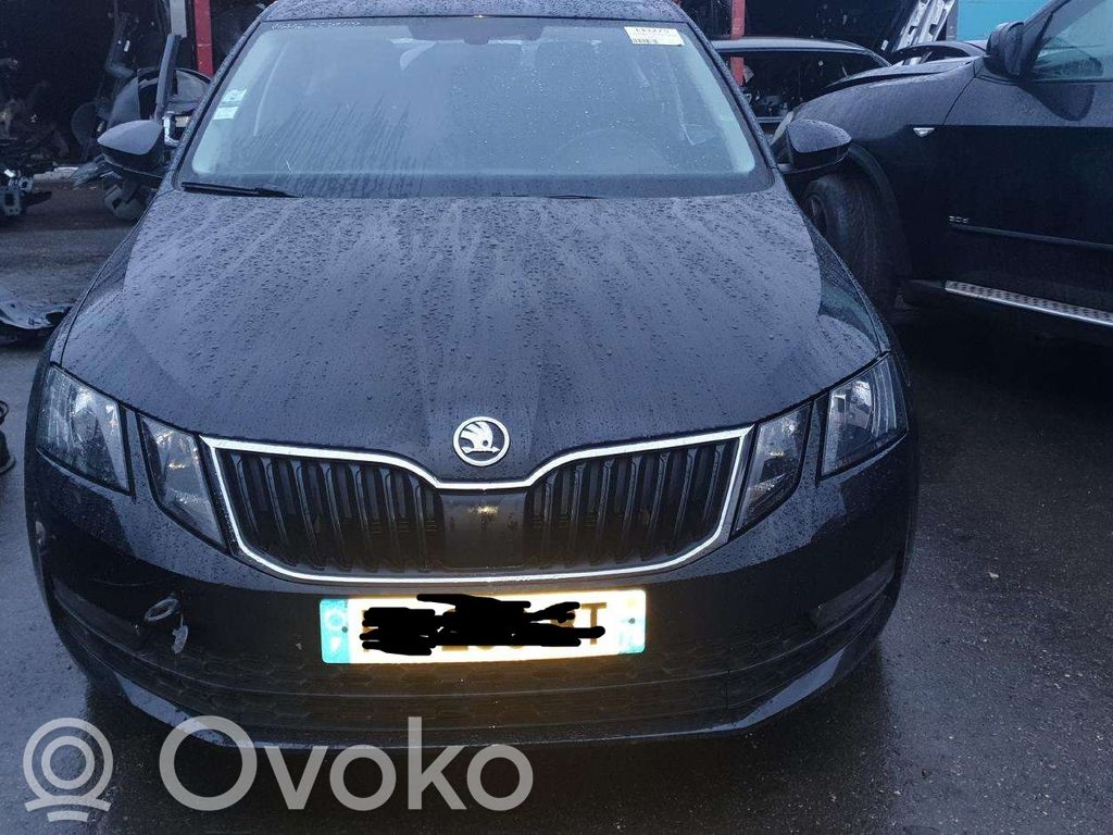 Octavia Mk3 (5E) Octavia  04L907805DG